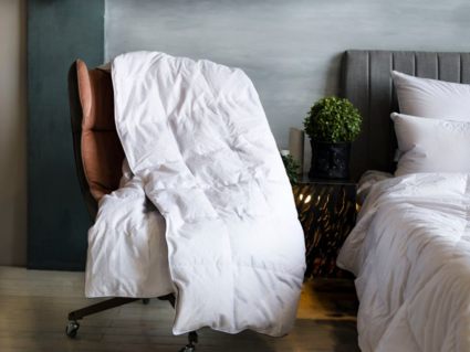 Одеяло German Grass Gray Familie Down всесезонное 140х205