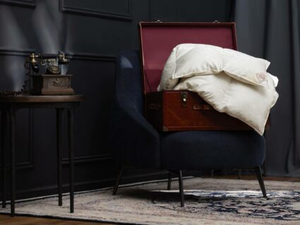 Одеяло German Grass EXCLUSIVE SILK EIDER DOWN теплое 150х200