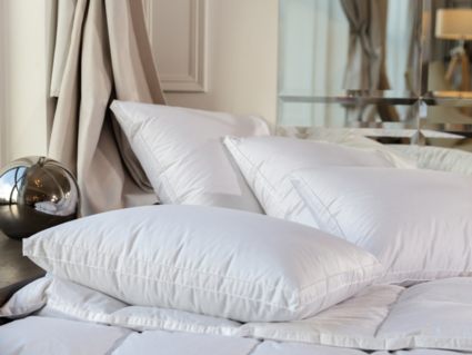 Подушка German Grass White Familie Down упругая 70х70