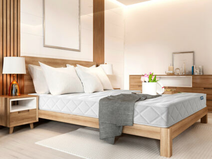 Матрас Димакс Relmas Cocos S1000 29