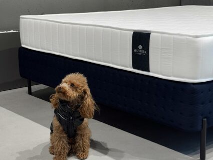 Матрас Materlux Meranges Multi Forte 60х120